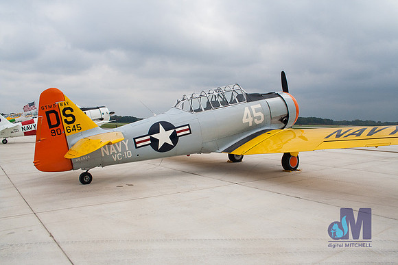 WarBirds2013-2610