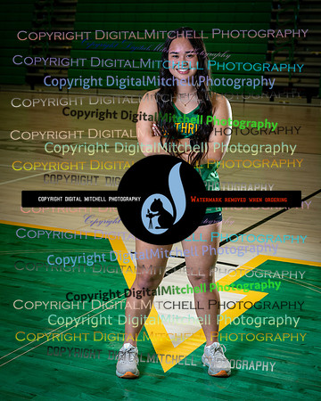 412-NHS 2025 Track and Softball