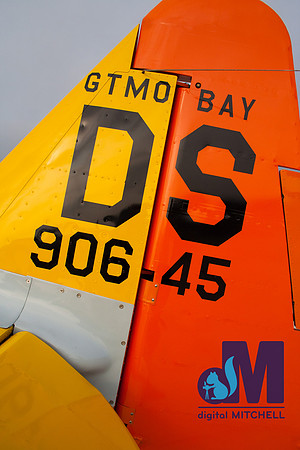 WarBirds2013-2475