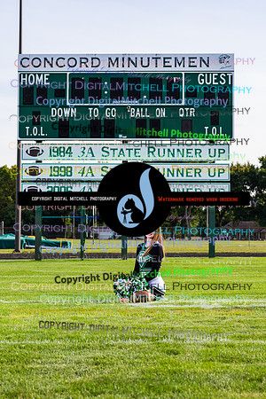 40-Cheerleading 2020