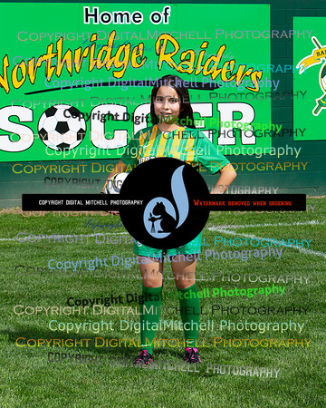 343-NHS 2024 Fall