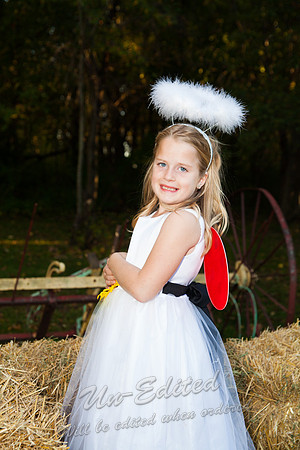 J-PJ-Wedding-261