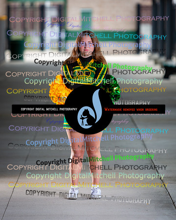 97-NHS 2025 Fall Cheer