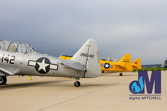 WarBirds2013-2891