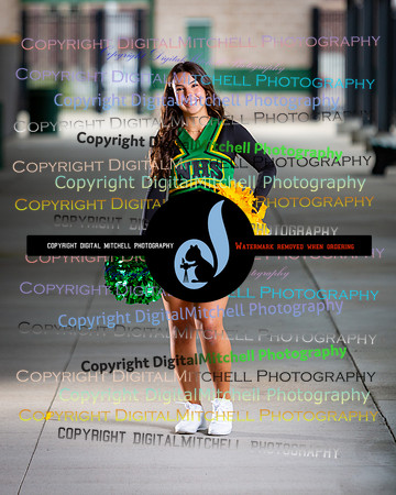58-NHS 2025 Fall Cheer