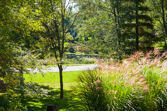 13325 Ceder Creek-158-E