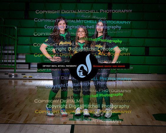 232-NHS 2025 Track and Softball