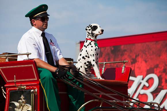 NHRA Nationals Norwalk 2015-034
