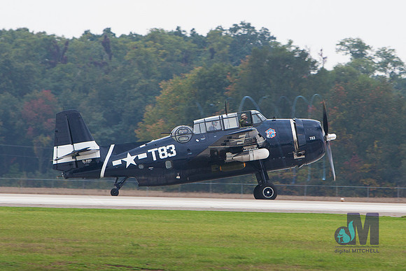 WarBirds2013-1978