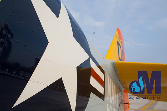 WarBirds2013-2477