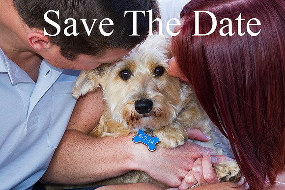 Save The Date 1