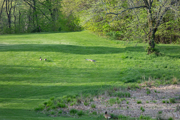 234-Hunter Golf Match