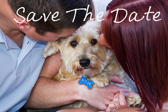 Save The Date 8