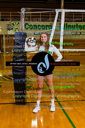 57-Volleyball 2020